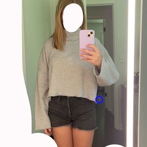 American Eagle Turtle Neck Long Sleeve Crop Top